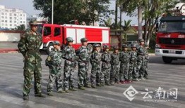 云南军校爆料事件最新情况,真相逐步浮出水面，官方调查进展如何？